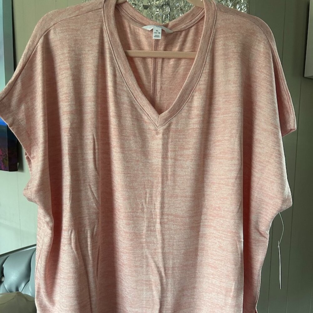 BNWT Blush Knit Dolman Sleeve tee Sz XL from Time & Tru